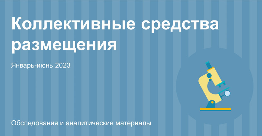 Коллективные средства размещения (КСР) Алтайского края. Январь-июнь 2023 года